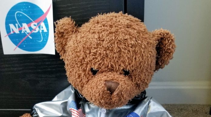 teddy bear in an astronaut suit