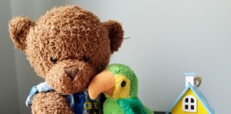 teddy bear and bird