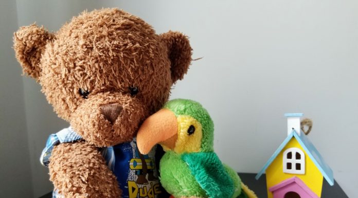 teddy bear and bird