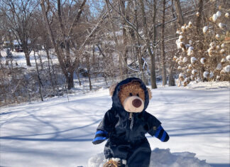 STUFFIE WINTER OLYMPICS 2026 WINNERS